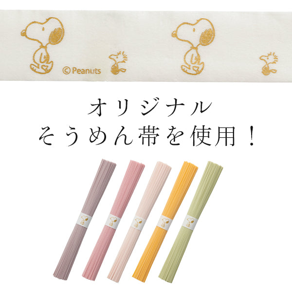【おかいものSNOOPY限定】 池利 そうめん5束入り (サーフィン)