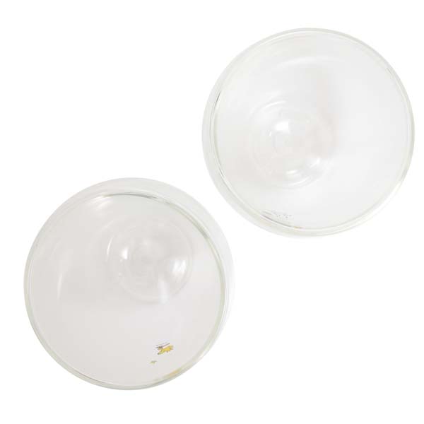 Peanuts LIFE&TIMESオリジナル 「BODUM」 コラボレーション ダブルウォールグラスセット