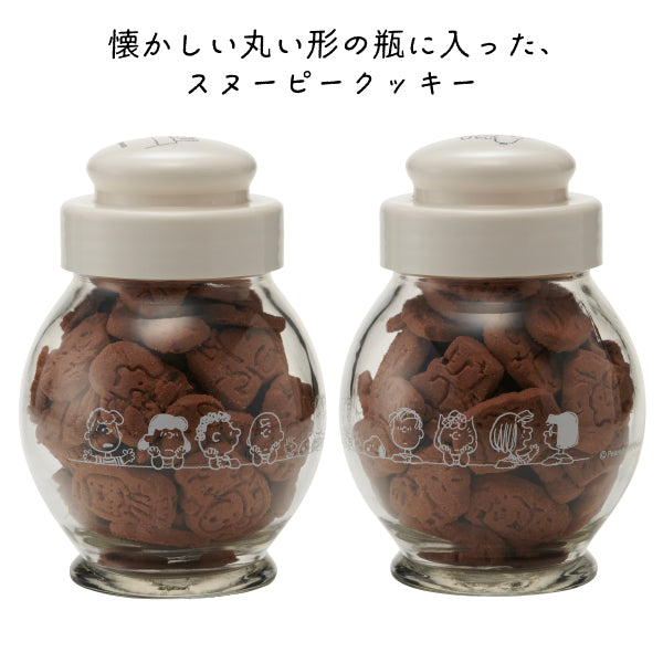 【おかいものSNOOPY限定】スヌーピーチョコチップクッキー (地球瓶入り)