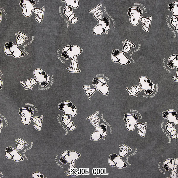 PEANUTS ROOTOTE アーキャトルバッグ ラミネート (0L)