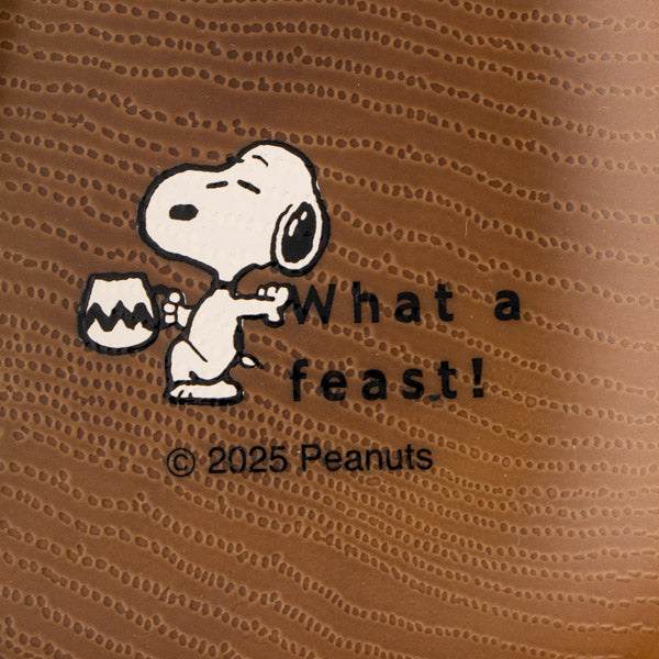 スヌーピー ランチプレートスクエア (すごいごちそう)