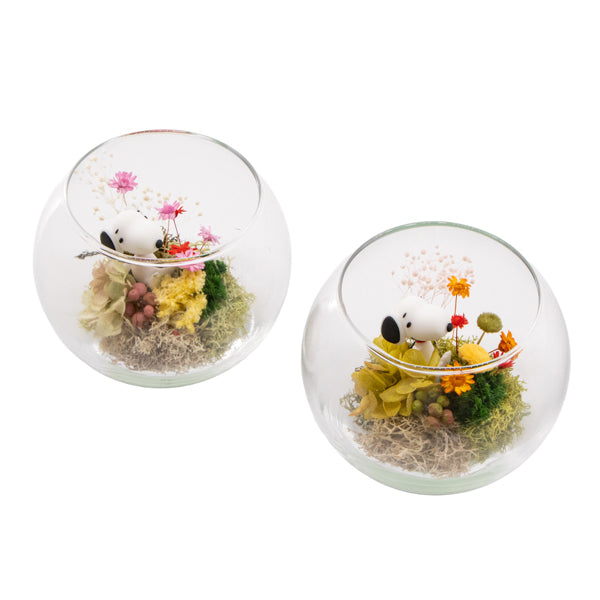 スヌーピー モスガーデン