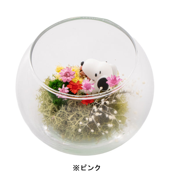 スヌーピー モスガーデン