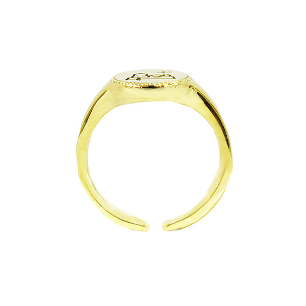 PEANUTS 「phitenモデル」スヌーピー オーバル型 ドッグハウスリング