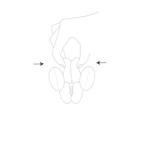 スヌーピー ファーバンスクリップ