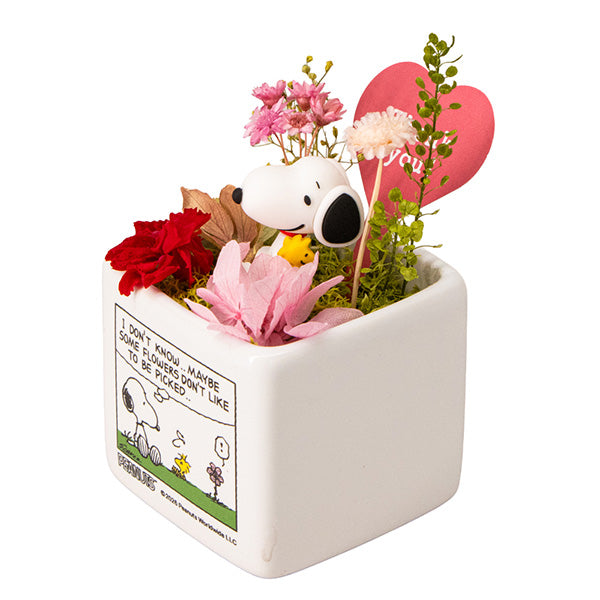 スヌーピーリトルガーデン (HUG)