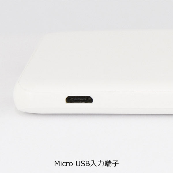 スヌーピー USB / USB Type-C 4000mAh リチウムイオンポリマー 充電器 2.1A