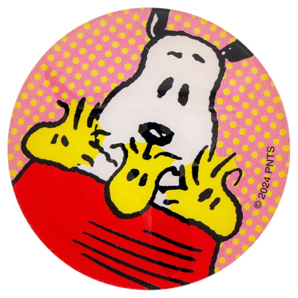 スヌーピー ガラスマグネット (フライングドッグディッシュ