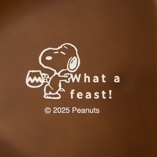 スヌーピー オーバルプレート仕切り付き (すごいごちそう)