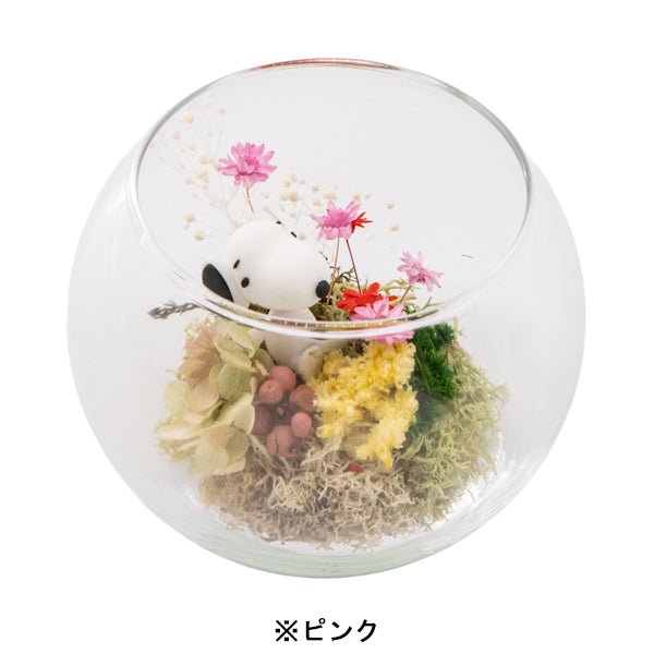 スヌーピー モスガーデン