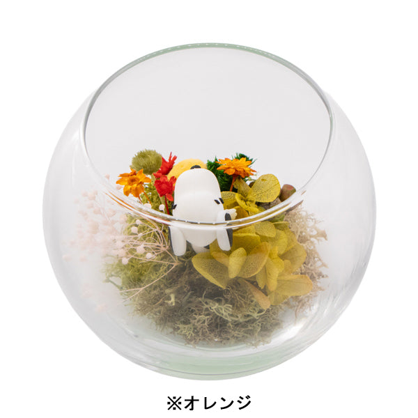 スヌーピー モスガーデン