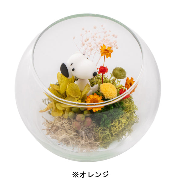 スヌーピー モスガーデン