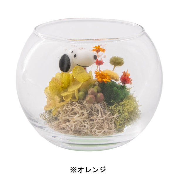 スヌーピー モスガーデン