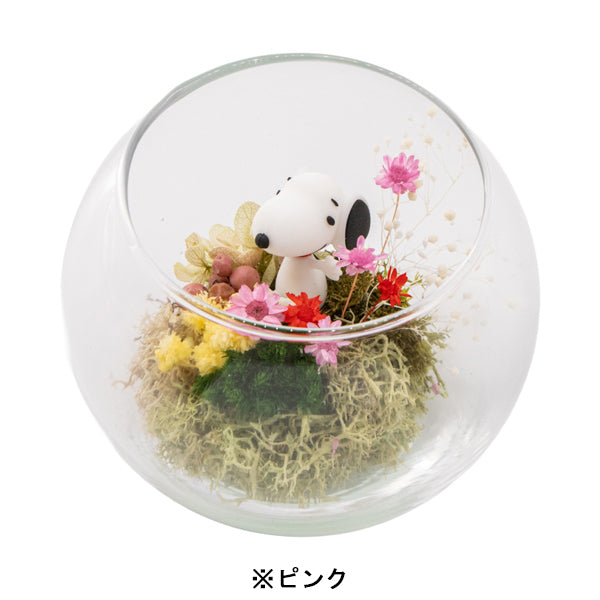 スヌーピー モスガーデン