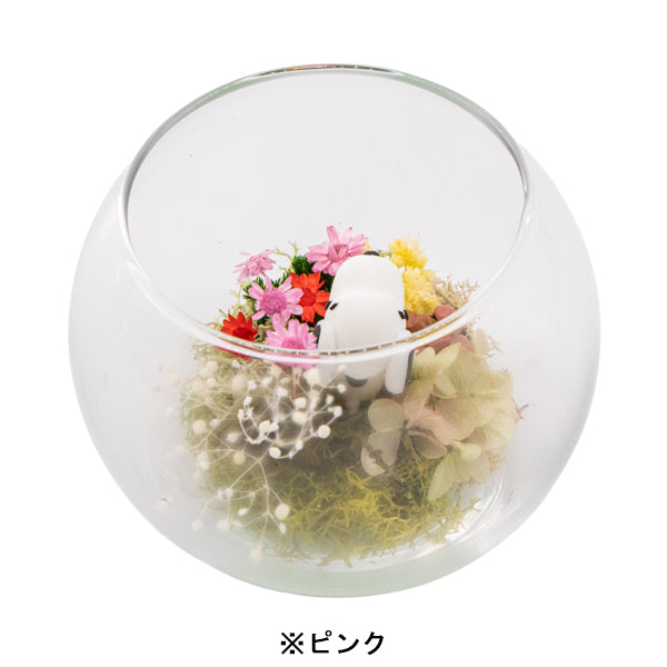 スヌーピー モスガーデン