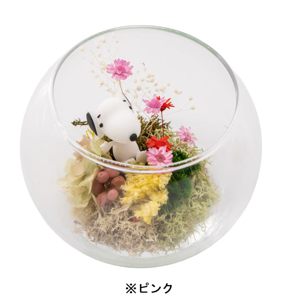 スヌーピー モスガーデン