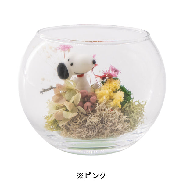 スヌーピー モスガーデン