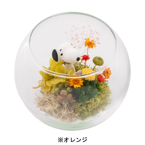 スヌーピー モスガーデン