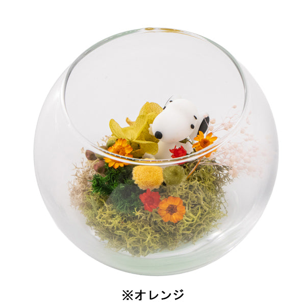 スヌーピー モスガーデン