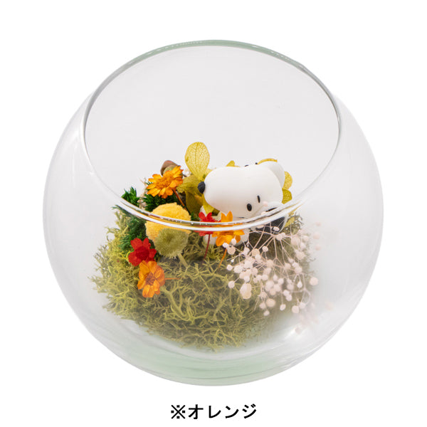 スヌーピー モスガーデン