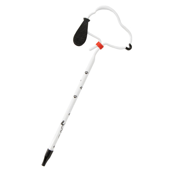 SNOOPY GARDEN フェイスペン（スヌーピー）