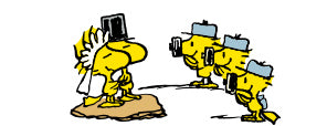 woodstock