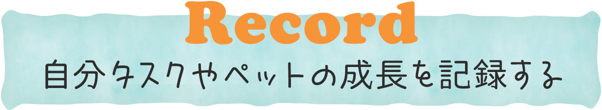 Record