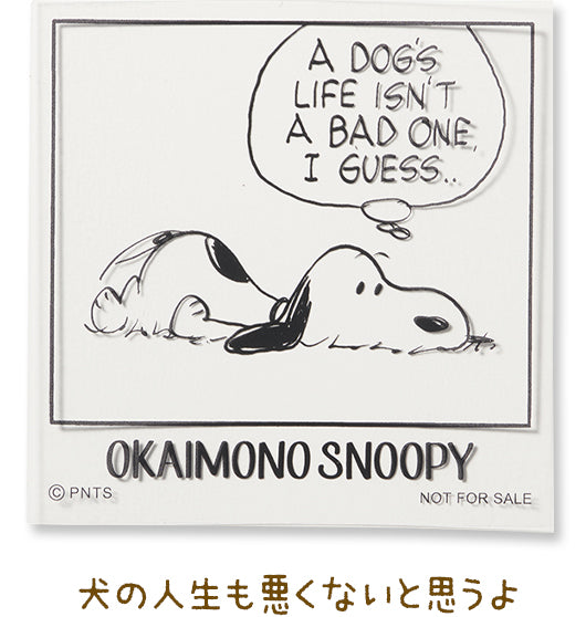 犬の人生も悪くないと思うよ