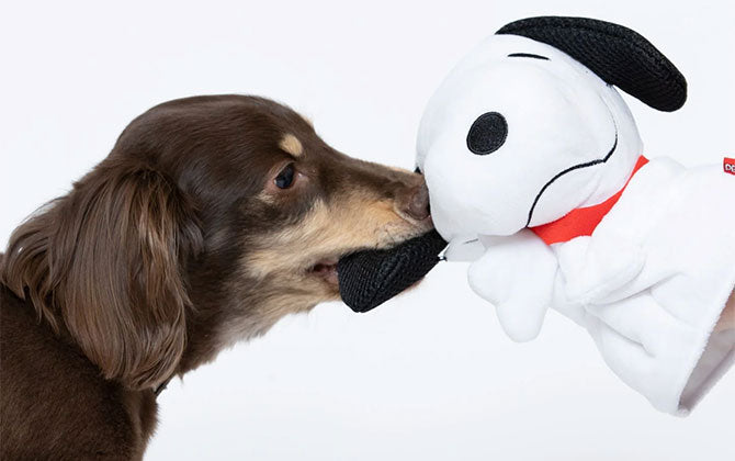SNOOPYおもちゃ商品画像